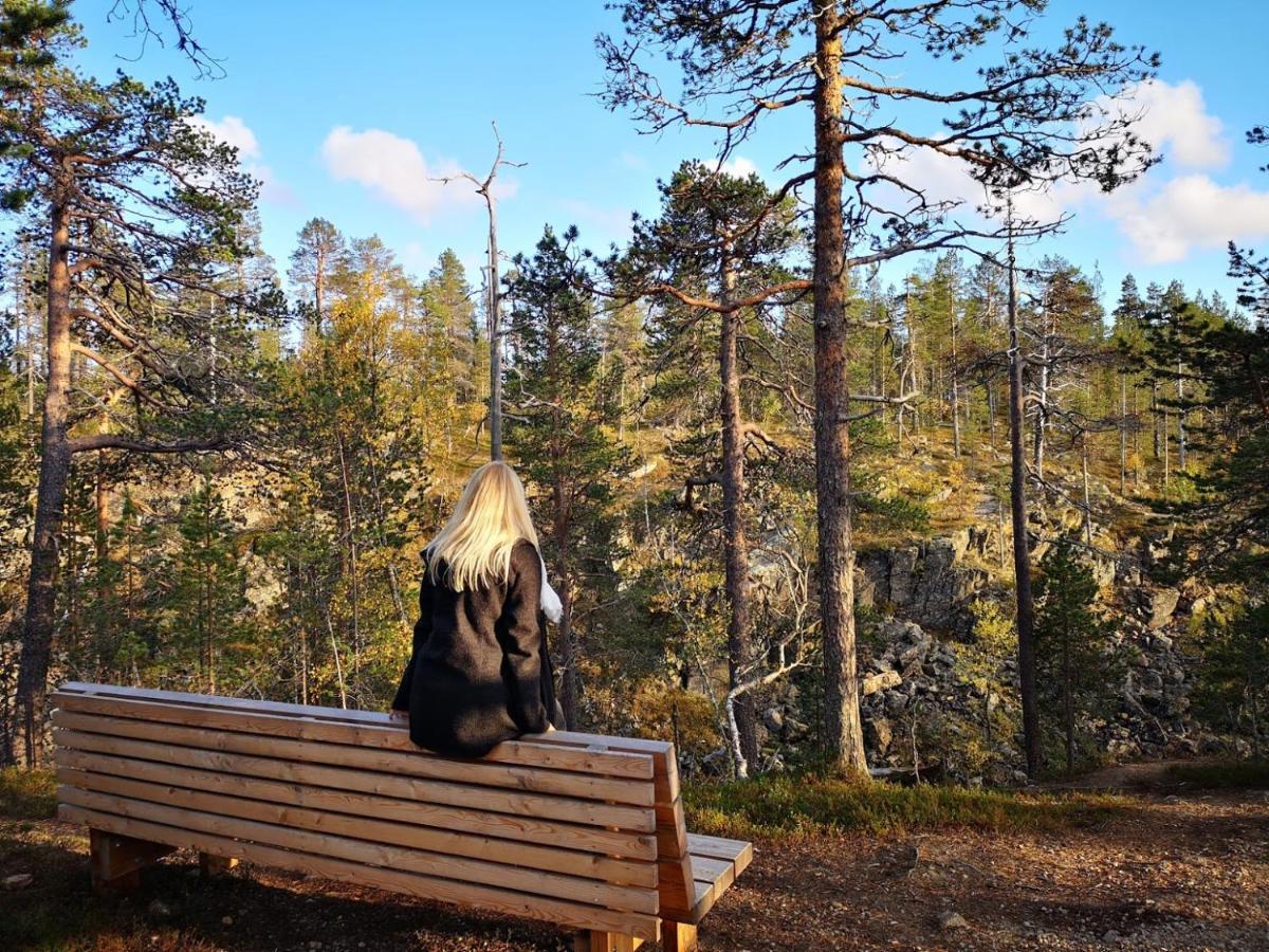 Arctic Log Cabins Saariselkä Eksteriør billede