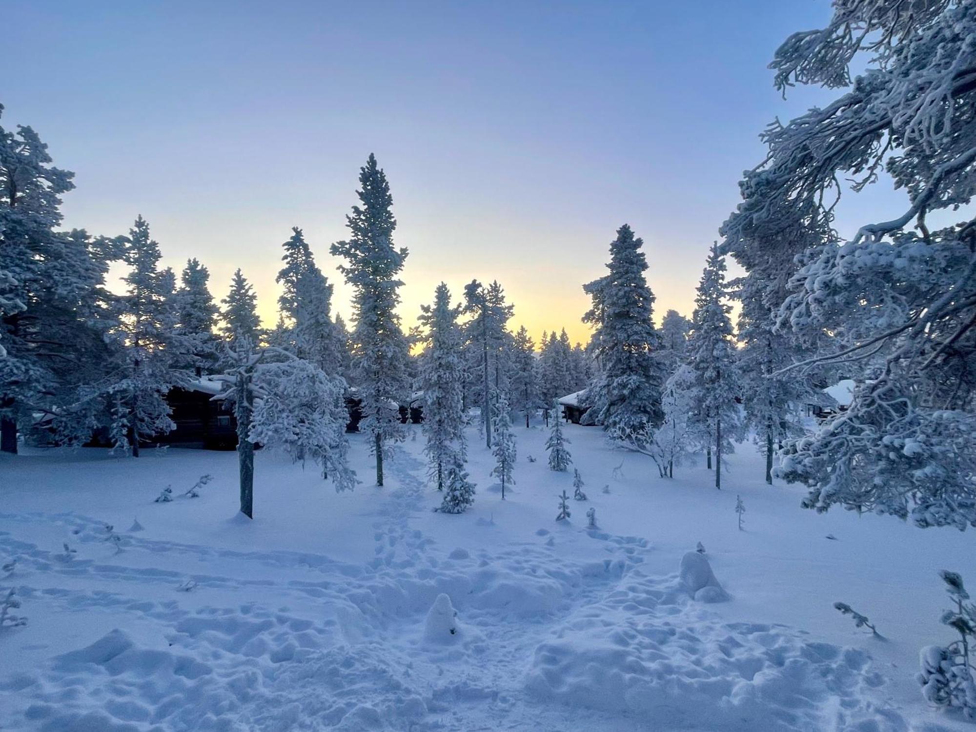 Arctic Log Cabins Saariselkä Eksteriør billede